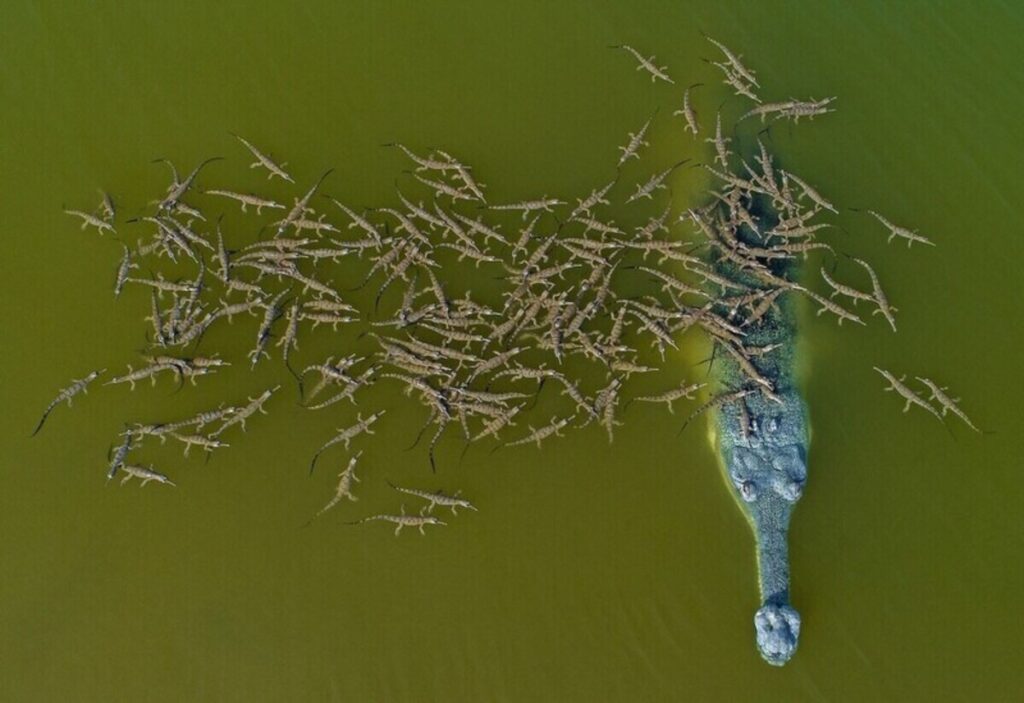 beautiful moment