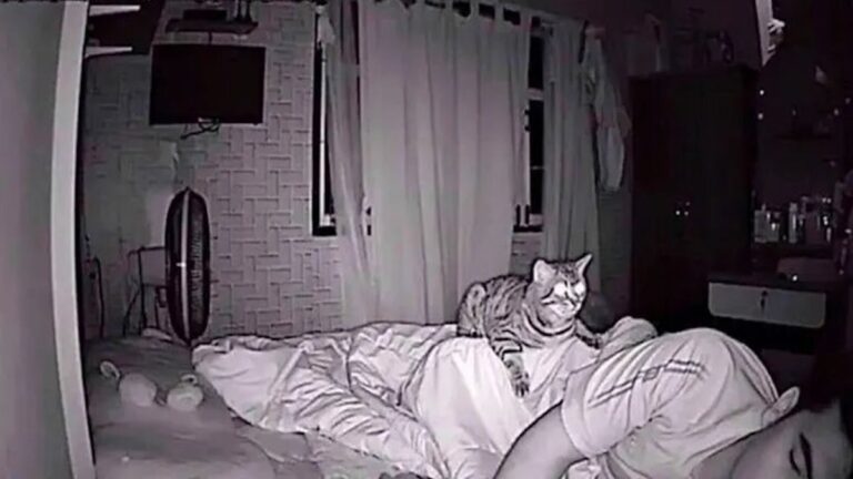 bedtime turned into surveillance