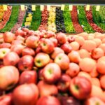 Fruits and vegetables contaminated