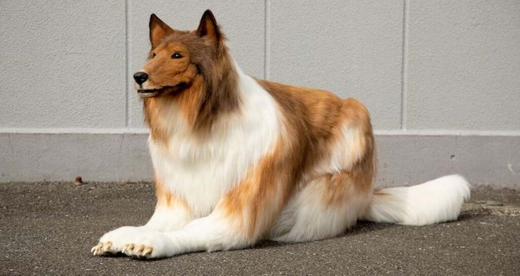 costume that wags