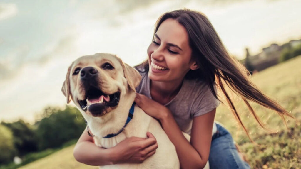 dangers hiding in your dog’s dish