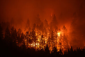 The Grand Canyon Megafire is Still Growing and It's Now So Out of Control